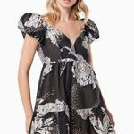 Elliatt NWT Picard Floral Jacquard Mini Dress in Black Silver/Gold Size Small Photo 0