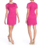 Laundry by Shelli Segal  Lace Short Sleeve Mini Dress Pink Size 8 Petite NWT Photo 6