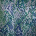 Dana Buchman  S Aqua Turquoise Snake Print Top Photo 7