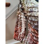 Investments Multicolor Tiered Ruffles V Neck Long Sleeve Ruffle Top Blouse XL Photo 3