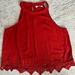 Elodie Rust Color Sleeveless Crop Top Size M Photo 0