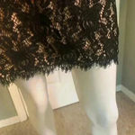 Eliza J  Dress Womens 4 Black Lace Overlay Knee Length Event Party Sheath #304 Photo 5