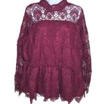 Lane Bryant Mock-Neck Illusion Lace Peplum Blouse Top Size 18 Photo 1