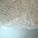 Ivory Lace Overlay Long Sleeve Scalloped Hem ModCloth Fairy Dress by Wendy Bird Size 16 Photo 6