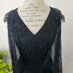 Alberta Ferreti Vintage Black Tissu Fabric Silk sheer feather cape effect sz 4 Photo 1