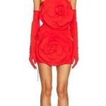 NWT MISCREANTS Rose Dress With Gloves in Red UK size 10/ US 6 Photo 0