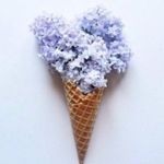 Jack by BB Dakota Top M Lace Knit White Coverup Boho Flirty Short Sleeve Photo 6