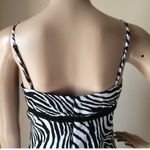 EXPRESS  Womens Semi Sheer Lined Dress size 7/8 Empire Waistline Black/White Photo 5