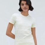 Everlane The Organic Cotton Crew Tee yellow stripe Size S NWT Photo 0