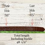 Avanti Medusa Buckle Brown Croc Leather Belt 38-45 Photo 5