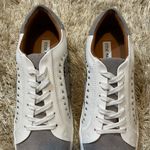 Steve Madden Annita Snake Print Studded Gray Suede Sneakers Photo 5