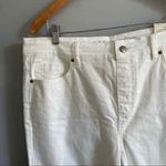 Soft Surroundings ✨ Legging Ankle Zip✨ Photo 4