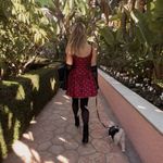 Hutch  Burgundy Red Polka Dot Mini Dress NWT Photo 5