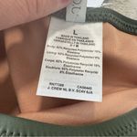 J.Crew Heritage 1989 Bikini Bottom NWT size Large Cool Cypress Green High-Leg Photo 7