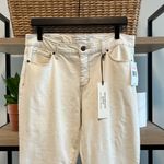 NWT Vintage America Wonderland Skinny High Photo 1