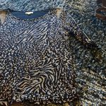 Silence + Noise  medium blouse Photo 1