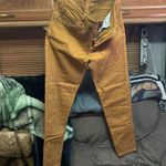 Denim Blvd. Mustard Yellow Skinny Jeans Photo 1