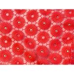 Lilly Pulitzer Lilly‎ Pulitzer 51982 Pearl Fiesta Pink Pinwheel Organza Dress sz 4 NWOT $348 Photo 5