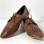 Torrid Brown laser cut lace up flat shoes Size 9 Photo 0