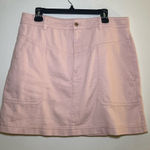 Banana Republic Mini Skirt Photo 0