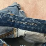 American Eagle Curvy High Rise Shortie Denim Shorts Photo 6