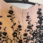 Luxe by Carmen Marc Valvo Midi Fit & Flare Dress Sz 4 Pink Black Photo 5