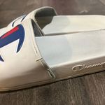 Champion Slides Photo 2