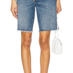 AGOLDE NWT  90's mid rise loose shorts Photo 0