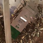 Dave and Johnny prom gown  nwt sale Photo 2