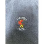 Vintage Illinois State V Photo 3