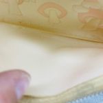 Disney Vintage 1970 Minnie Mouse and Mickey Mouse on mushroom pencil case collectible Photo 4