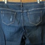 QVC Du Jour Floral Distressed Ankle‎ Jeans 18W Blue Photo 9