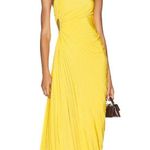 ALC Frank NWOT ALC Delfina pleated dress Photo 1