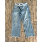 Sam Edelman Women's Blue Striped The Chelsea Wide Leg Crop Jeans Size 28 Photo 2