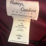 Vintage Always Caroline 14Pā Crushed Velvet Long Sleeve Top Maroon Fall Red Photo 2