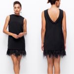 Ann Taylor Feather Hem Dress Size 10 Photo 1