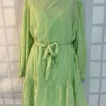 Eloquii NWT lime green long sleeve tie waist mini ruffle hem dress size 26 Photo 0