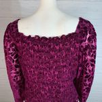 Torrid Wine Velvet Smocked Blouson Sleeve Crop Top, Size 4 Photo 6