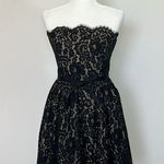 Robert Rodriguez  Black Lace Strapless Fit Flare Mini Cocktail Dress Size 8 Photo 0