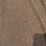 Forever 21 Women’s Leggings Metallic Ribbed Leggings Photo 3