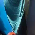 Windsor BUNDLE SALE: 15 % off 2 or more dresses/skirt sets Photo 3