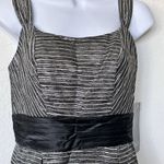 NWT THEIA 2 Metallic Striped Sheath Sleeveless Dress Photo 8