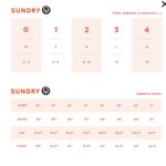 Sundry SZ 3 Large 12 Wild Floral Henley Purple Blouse Boho Top Women Long Sleeve Photo 4