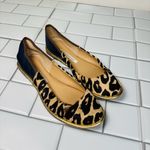 Diane Von Furstenberg DVF Navy and Leopard Botswana Ballet Flats‎ Photo 1