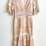 Saylor Ivory Maggy Floral Lace V-Neck Sheath Midi Dress Women's XS Photo 3