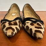 Tod's Tod’s Pony-style calfskin leopard print pointed Toe ballet flat Size 36 Photo 1