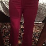 Lacoste  nwot ankle  pants Photo 0