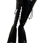 Pleaser Delight Photo 1