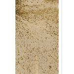 8 Other Reasons Chainmail Top And Skirt Set in Gold One Size New Womens dressy Photo 3