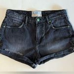 Free People x Sandrine Rose High Waisted Flamingo Pocket Shorts Size 27 Photo 0